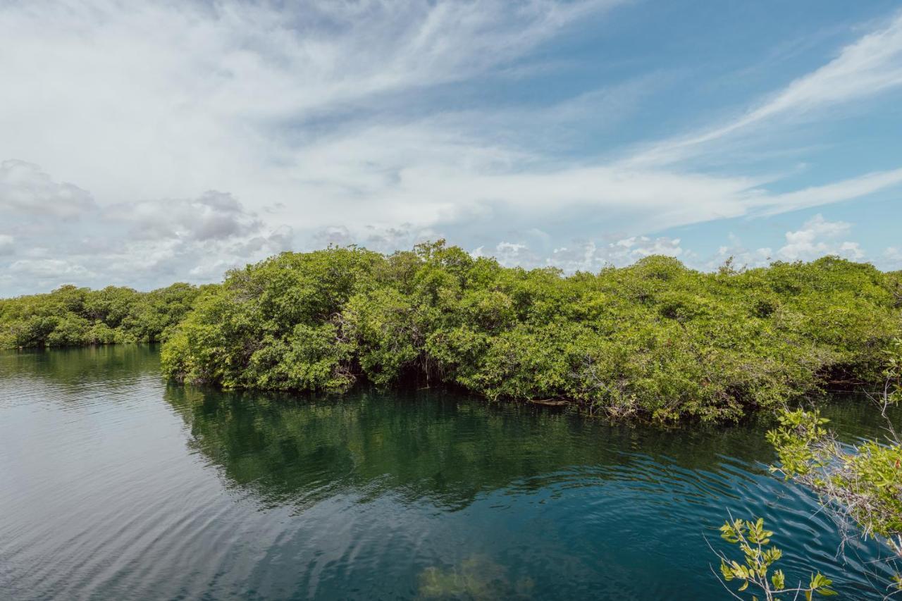 Yaxchen Tulum Cabanas & Cenote Buitenkant foto