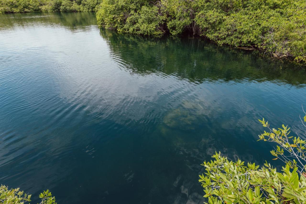 Yaxchen Tulum Cabanas & Cenote Buitenkant foto